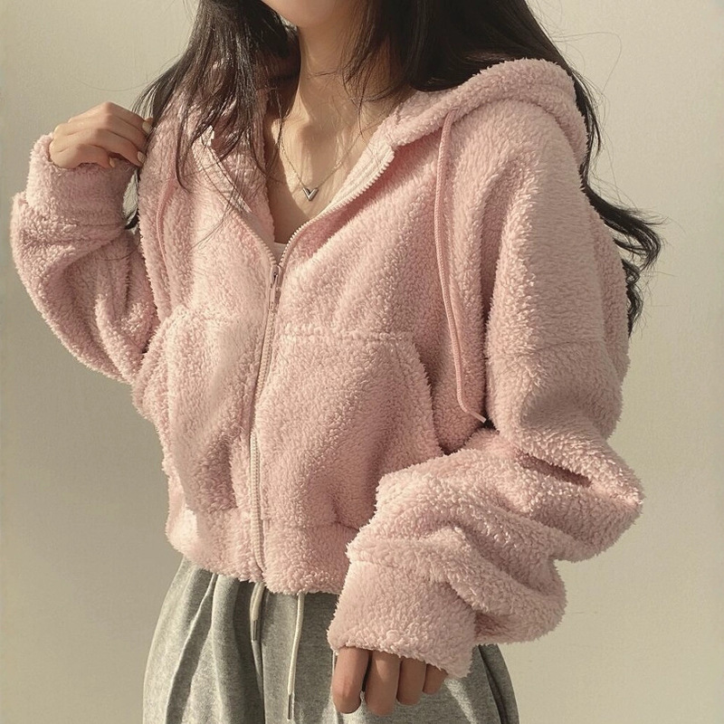 New Outer Wear Imitation Cashmere Jacket for Women 2023 Autumn and Winter Thickeneded Warm Loose Jacket Zipper Hooded Lamb Suit