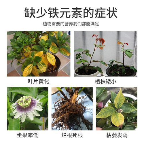 Dewo ferrous sulfate flower fertilizer acid household general water-soluble fertilizer money tree nitrogen phosphorus potassium foliar fertilizer wholesale
