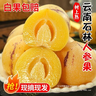 ���ʯ���˅���5��������r�����r�˅����߲��S��A�����������]