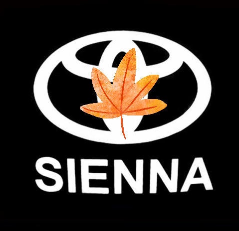 Aplicable a la luz de bienvenida de Toyota Senna Grivia Senna puerta láser no desvanece lámpara de proyección de puerta