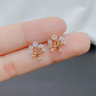 �n������С��â������h�¿С���OӋ�ж��Ů�|���T���|���