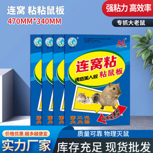 Mouse Trap Board, Strong Adhesive Mouse Board, Mouse Catcher Board, Mouse Trap Cage, Rodent Control Sticker, Enlarged Adhesive Mouse Board