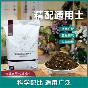 �ʘ�ֲͨ�àI�B���B���N����̿���[�M�ڽ��|��������͸��Nֲ��