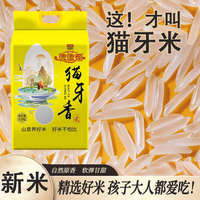 广西正宗猫牙米长粒香大米当季新米农家丝苗米煲仔饭10斤真空香米