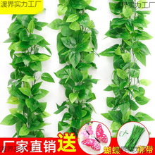 ���l���üٻ��b��{ˮ�ܵ��ٗl�ړ����~�G�}��������bGֲ