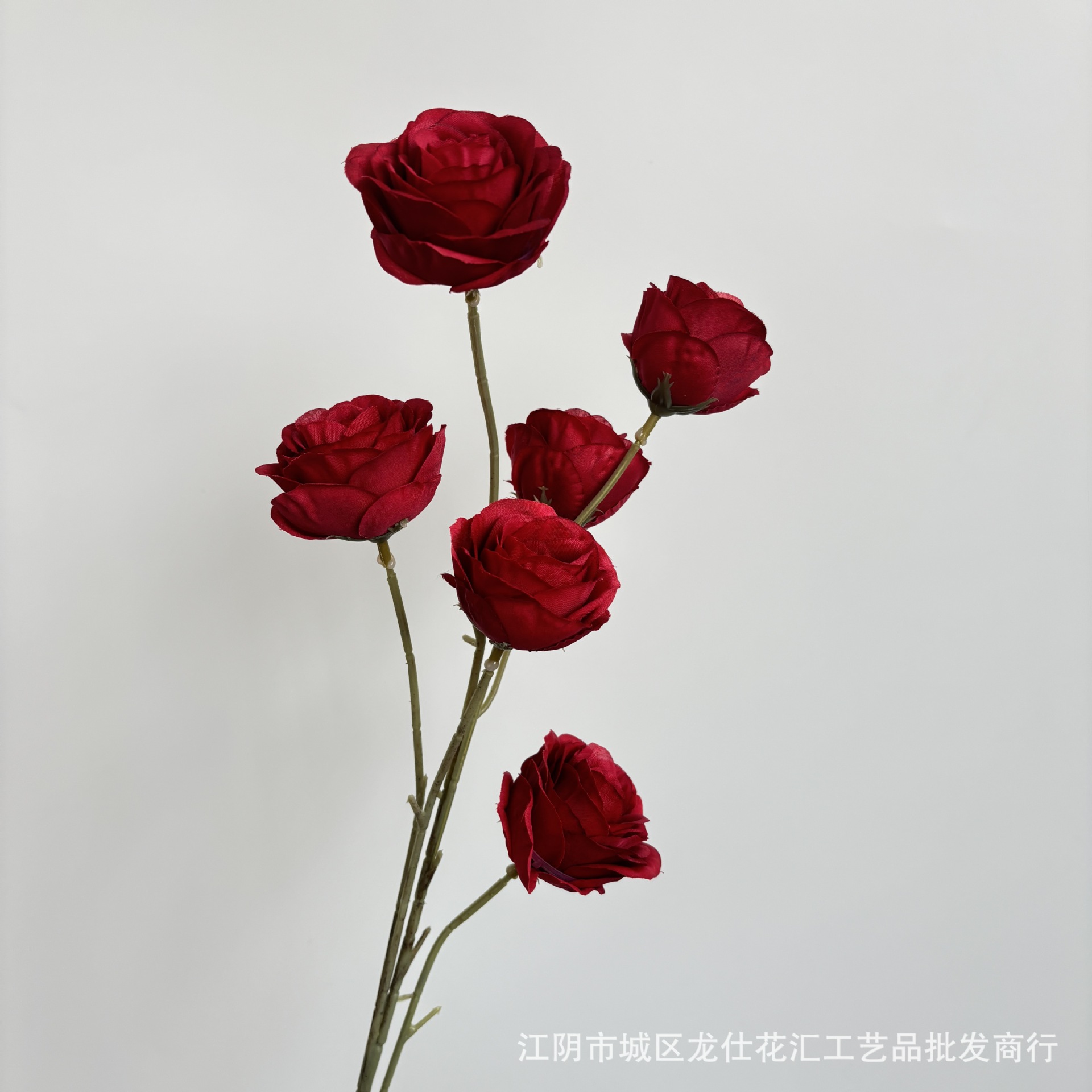 절묘한 작은 모란