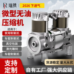 瑞騰マイクロ圧縮機携帯型圧縮機二重シリンダーマイクロ圧縮機ミニ小無油型