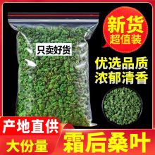 1斤装桑叶茶500g霜降秋后新鲜干桑叶另售特级野生蒲公英苦瓜片绿