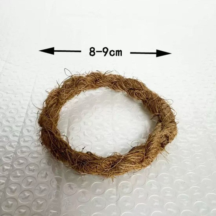 Estricta selección de cáscara de coco tazón de coco natural ensalada de frutas batido de avena comida ligera exportación transfronteriza tazón de coco image 13