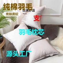 ��ë��о���ޱ������Z�q�Zë���|�p�˶๦�����l����͸���˯