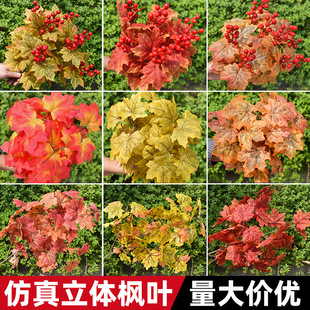���w�t����֦������~��ɫ�҃�ܛ�b���@��ľ�b��쾰���ϻ��پGֲ