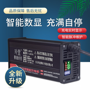 48V10A Digital Display Lithium Battery Charger 54.6V58.8V10A Ternary Iron Lithium Takeaway Car Battery Car Charging