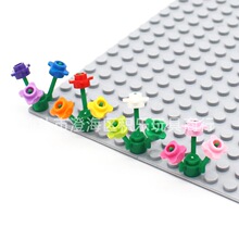 ����С������ľ����� ֲ�ﻨ�� ���� ���� �ı߻� 33291 װ��MOC
