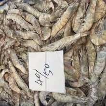 批發商用鹽凍大蝦40-50 厄瓜多爾南美白蝦對蝦大板散裝青島海水蝦