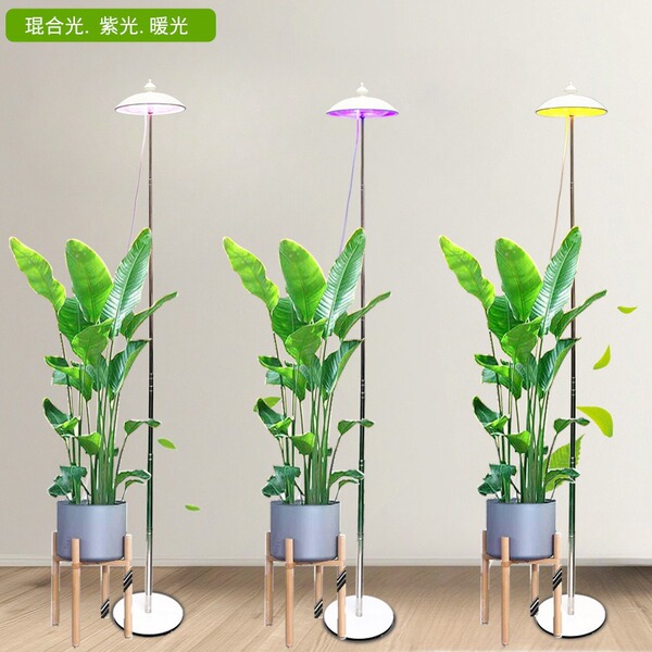 Plant lamp
