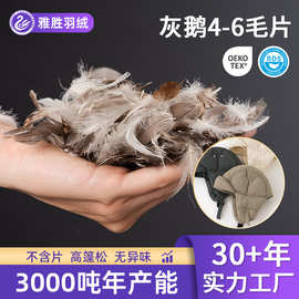 灰鹅羽毛4-6厂家直供 毛片灰鹅绒片沙发抱枕靠背枕羽绒原料填充物