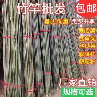 Bamboo Pole 1.27m Sales of Various Specifications of Thin Bamboo Pole Vegetable Garden Scaffolding Fence Beans Bunting Dancing Export