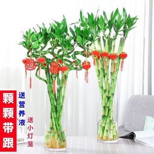 ����ˮ���D�\���F��ֲ��ˮ�B�����_�\�������d�͏d�҃ȳ���Gֲ