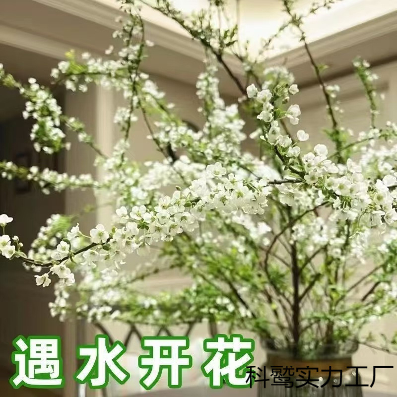 水培干枝雪柳喷雪花茉莉花遇水开花枯木蓬春室内
