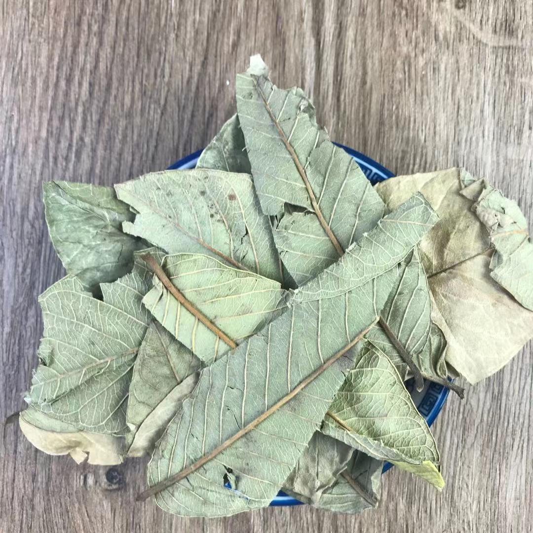 Guava Leaf Tea 番石榴叶 Fan Shi Liu Ye Dried Herbal Tea Leaves 500g for Daily Brew key features