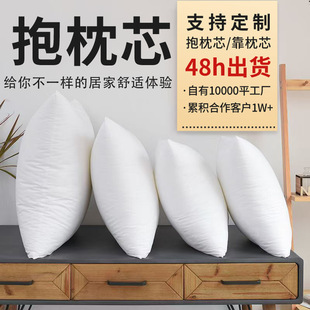 Cross-Border Simple Non-Woven Pillow Core 45×45 Sofa Cushion Pillow Core Cushion Core Pp Cotton Liner Pillow Core Wholesale