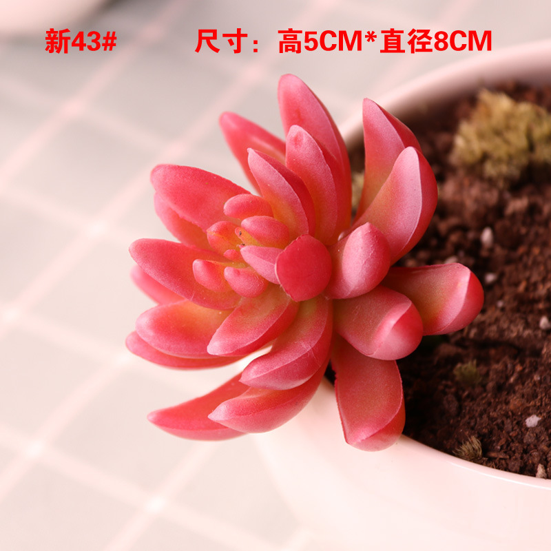 模擬多肉植物、小さな多肉植物、高品質の偽緑植物の壁、室内装飾の組み合わせ、植毛、リアルな模擬花の卸売|undefined