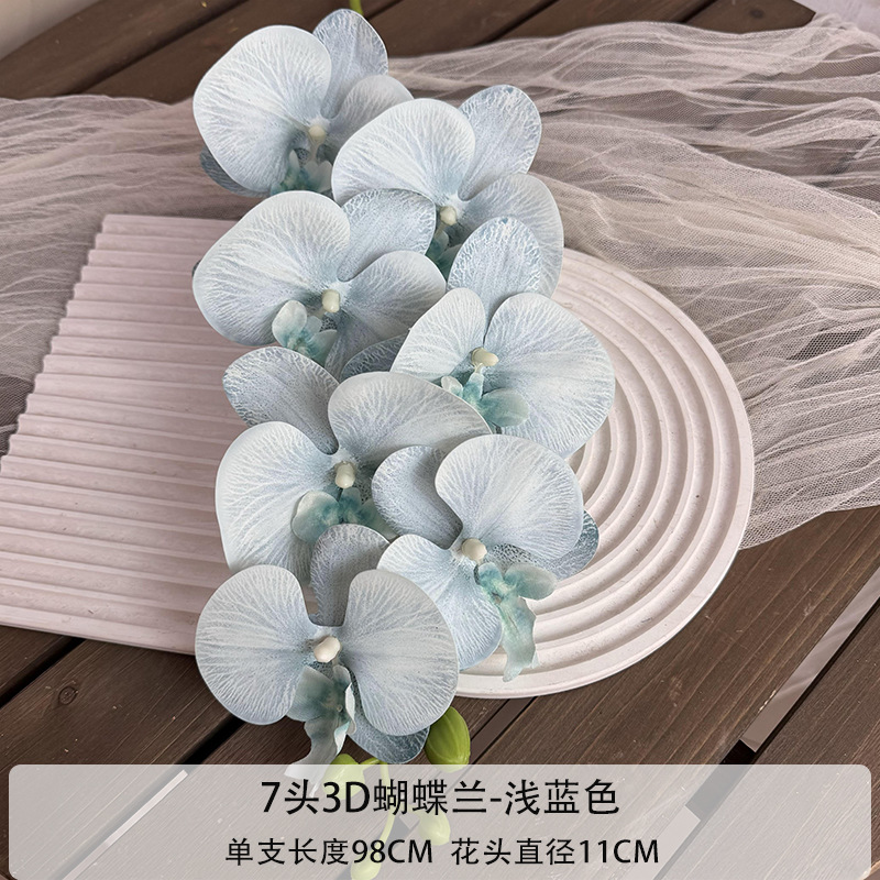 7-헤드 3D phalaenopsis-라이트 블루
