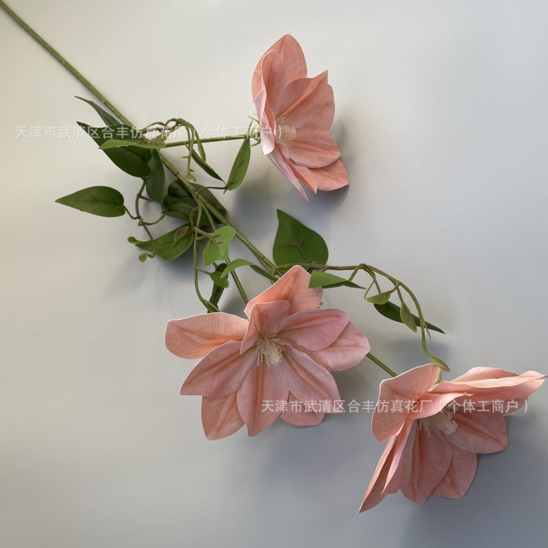 플레쉬 핑크