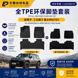 Suitable for 25 models of Dongfeng Mengshi M817 car floor mats, custom-made TPE trunk mat for five-seater vehicles