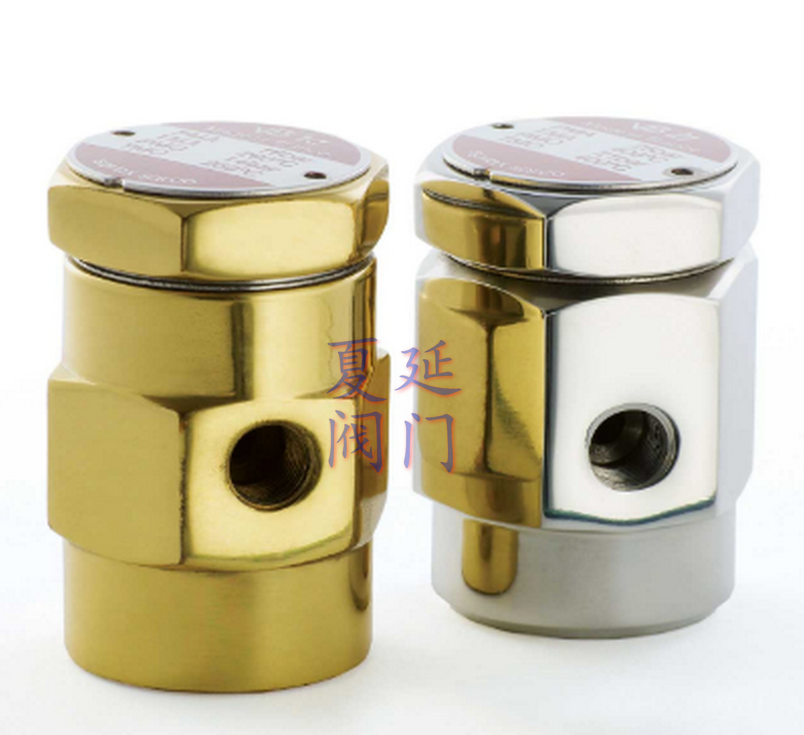 spiraxsarco原装斯派莎克VB21破真空器、VB14黄铜破真空器、