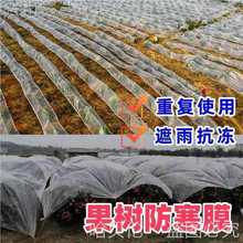 ɳůԽ��Ĥ���ٹ���������w���L�����ɰ�Ǳ������ϱ�Ĥֲ�����