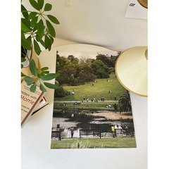 [Lawns Park] Photography Bedroom Room Background Decoration Print Core Wall Wall Sticker Poster