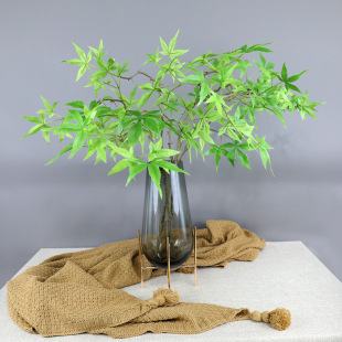 ����Gɫ���~�t���~ �uצ���@���쾰�b��������~�٘�֦���