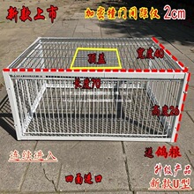 天落笼信鸽家用屋顶户外鸽子笼活络门笼撞门笼鸽子笼跳笼鸽子用品