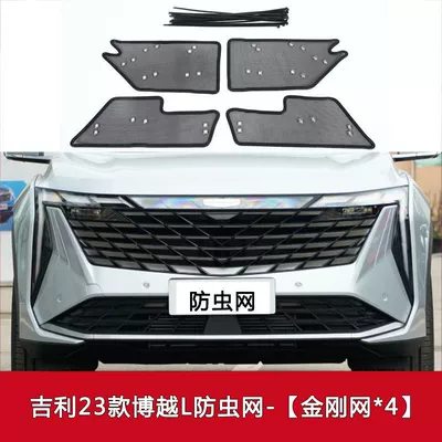Bo Yue L/Pro/Asian Games Edition/X/Cool Car Insect-Proof Net, Anti-Debris Net, Water Tank Protection Net, Mesh Modification (Automobile anti-insect net) - 23-boyue-l-dct
