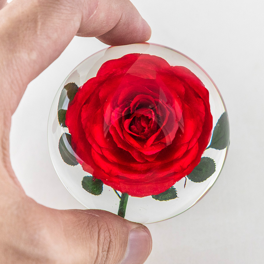 【Color Box】Hemisphere Red Rose