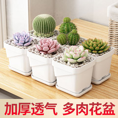 リビングルーム、バルコニー、オフィスデスク用のPPプラスチック製の小さな植木鉢、多肉植物のポトスポット、トレイ付きの緑の植物、花の鉢を越境で専用供給
