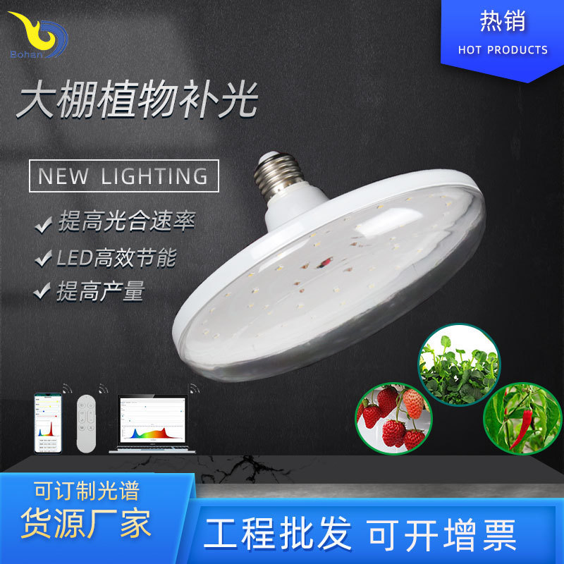LED plant lamp