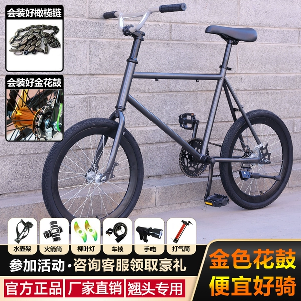 Action switch [iron gray] changed to olive chain + reverse brake gold hub