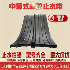300*8中埋式651型橡胶止水带厂家隧道管廊背贴式遇水膨胀止水带