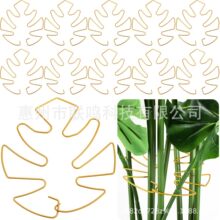 ֲ��֧��ֲ��U֧�Θ�ֲ��̶�֧��������A���Ի��ܻ���̶��b�