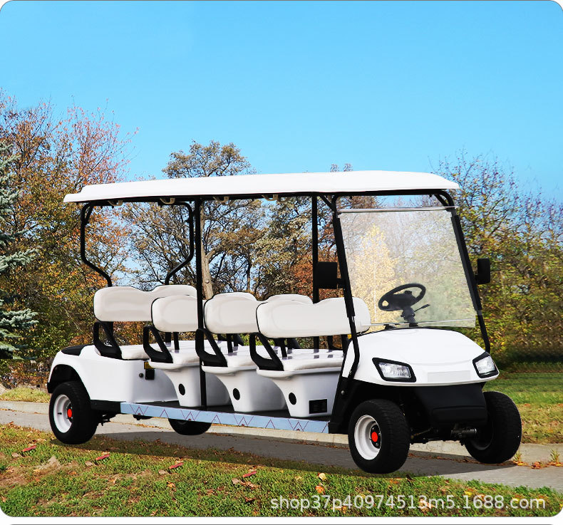 Electric golf cart scenic spot sightseeing car four-wheel court walking 2-4 seats 6 seats car patrol car