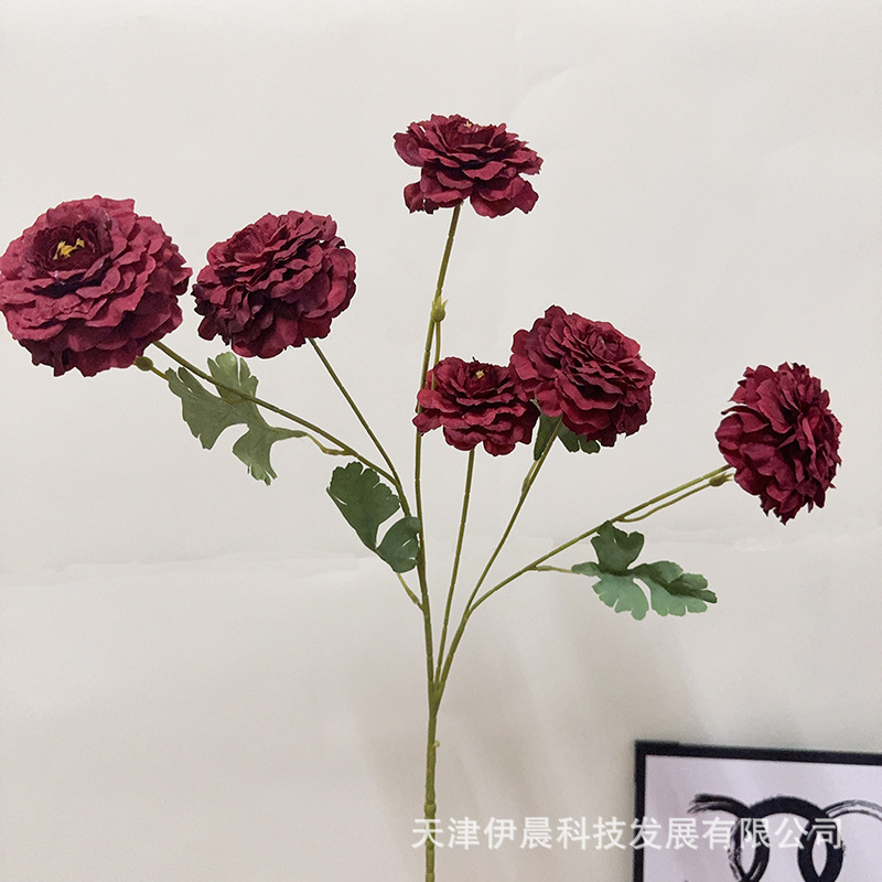 6두룡 잉어 - 레드 (6 Du Ryong Ieongeo - Red)