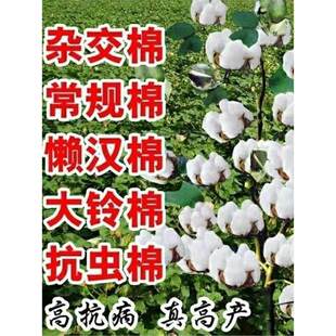 A�����½��޻��N�Ӹ߮a���޻��N�Ӹ߮a���x�����s���޴�����ؼ�