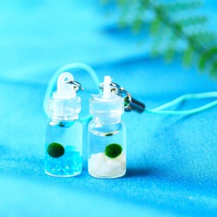 ����С���marimo���������Bƿ�����W���S�팙������Gֲˮ��ֲ��