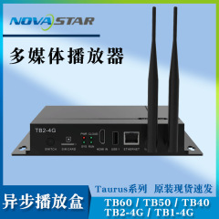 ノバ非同期再生ボックスTB1-4G/TB2/4G/TB40/TB50/TB60Taurusマルチメディアプレーヤー