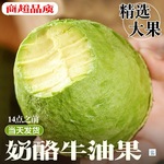 哈斯奶油牛油果大果15个新鲜水果当季整箱包邮一级鳄梨进口秘鲁