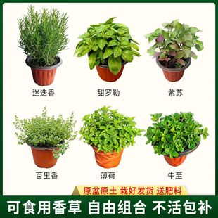 �Ե����ļ�������ÿ�ʳ���_����ݽM��ţ���������K�Gֲ�����՚�