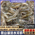 淡水河淡水小新鲜微山湖小河虾大生态虾青虾草虾速冻醉活虾虾顺丰