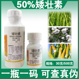 ���� 50%������ �޻���ֹͽ�L С������ֲ�����L�{����